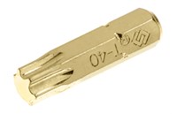 Dachzubehör / Dachdeckerwerkzeuge Torx-Bit T40 klein (Länge 25 mm)